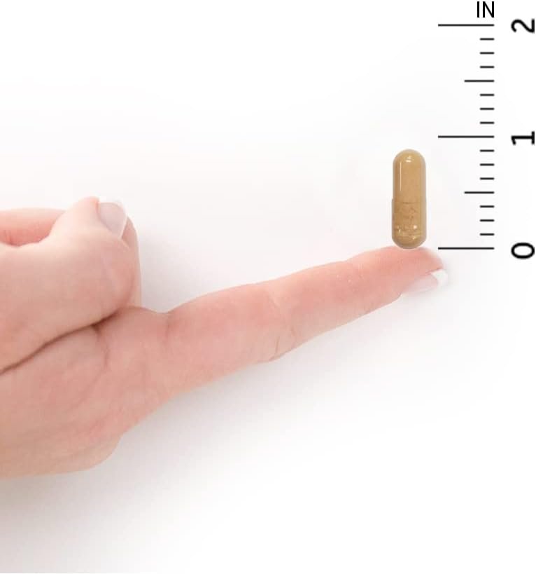 garden of life raw probiotics for women and men with digestive enzymes, 100 billion cfu, clinically studied strains, shelf stable, 30 capsules garden of life raw probiotics for women and men with digestive enzymes, 100 billion cfu, clinically studied strains, shelf stable, 30 capsules