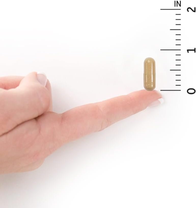 garden of life probiotics for women and men raw probiotics colon care 50 billion cfu and enzymes, shelf stable once daily acidophilus probiotic for regularity and immune health support, 30 capsules garden of life probiotics for women and men raw probiotics colon care 50 billion cfu and enzymes, shelf stable once daily acidophilus probiotic for regularity and immune health support, 30 capsules