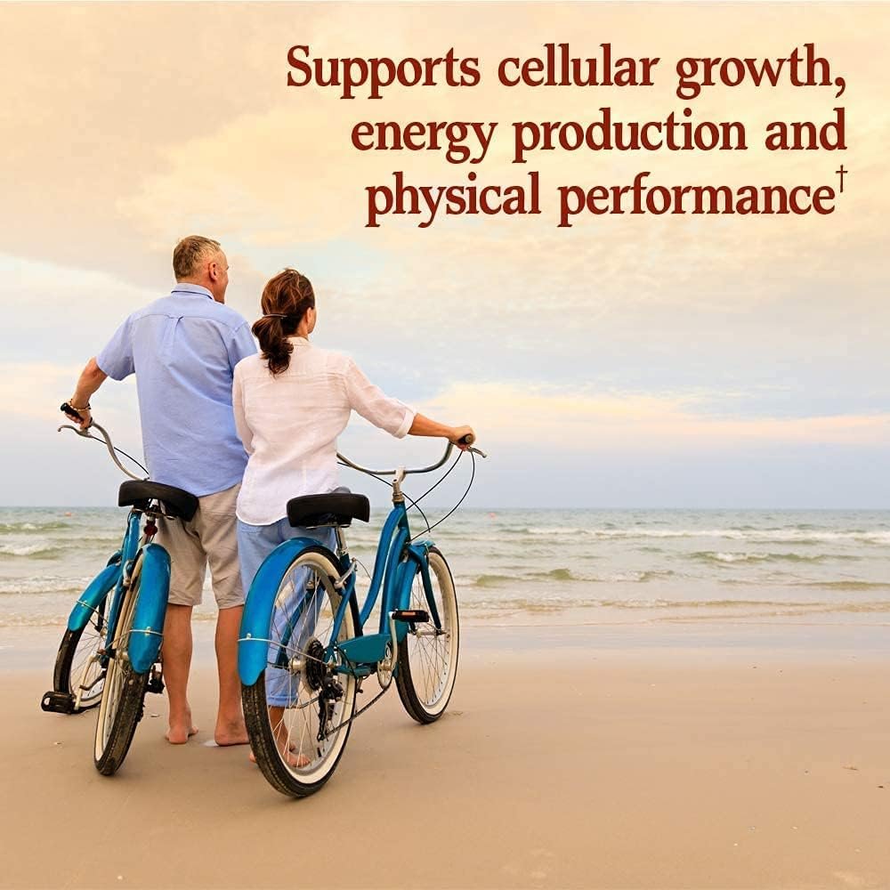 garden of life multivitamin for men vitamin code 50 & vegetarian omega 3 6 9 supplement raw coq10 chia seed oil whole food nutrition with antioxidant support garden of life multivitamin for men vitamin code 50 & vegetarian omega 3 6 9 supplement raw coq10 chia seed oil whole food nutrition with antioxidant support