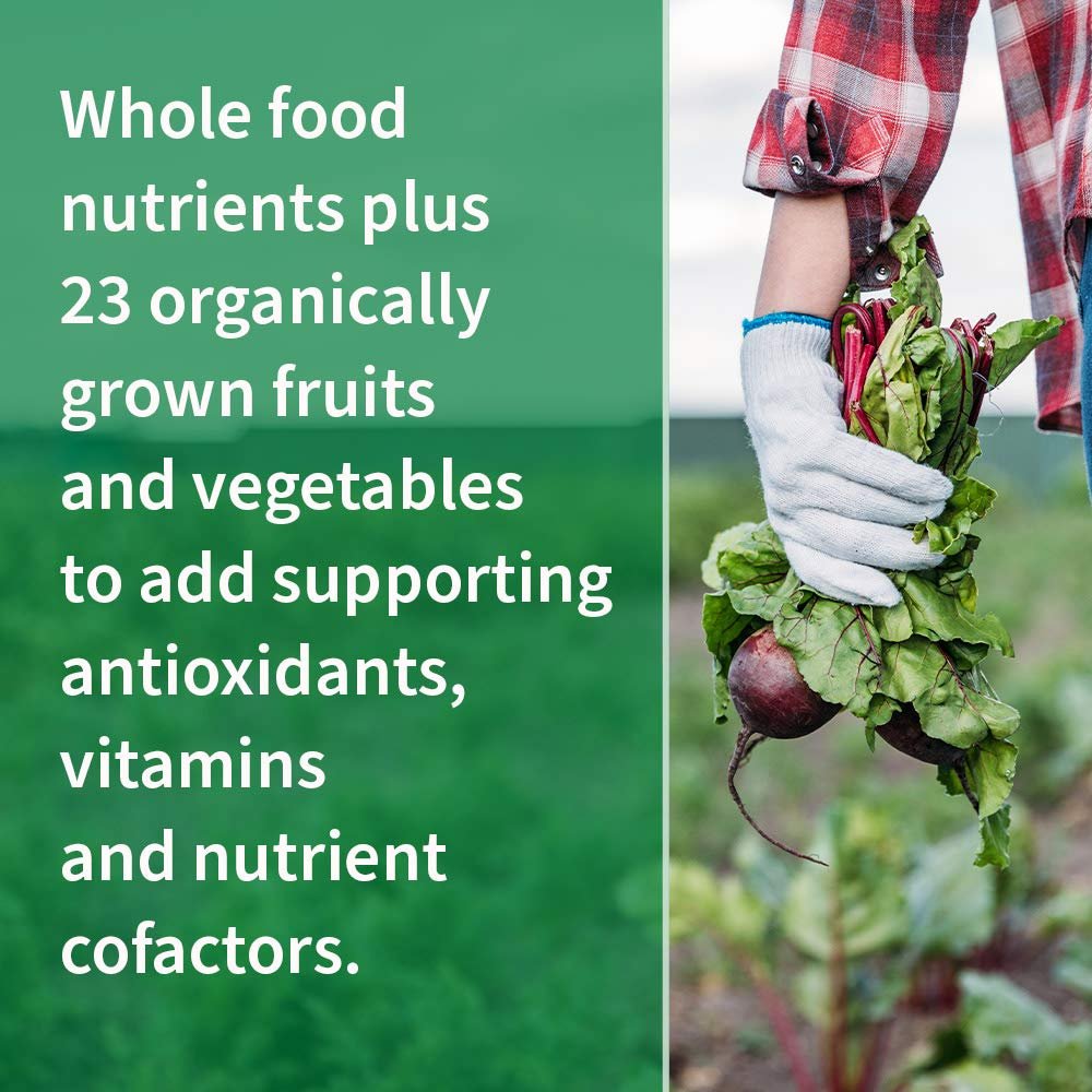 garden of life multivitamin for family, zinc for immune & skin health 120 vegetarian capsules garden of life multivitamin for family, zinc for immune & skin health 120 vegetarian capsules