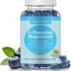 L-theanine Gummies 200mg, with Magnesium Glycinate 400mg, Ashwagandha 300mg - GABA Boost Formula for Sleep, Stress Relief, Without Melatonin, Non GMO, Gluten Free, Vegan, Berry Flavor, 60