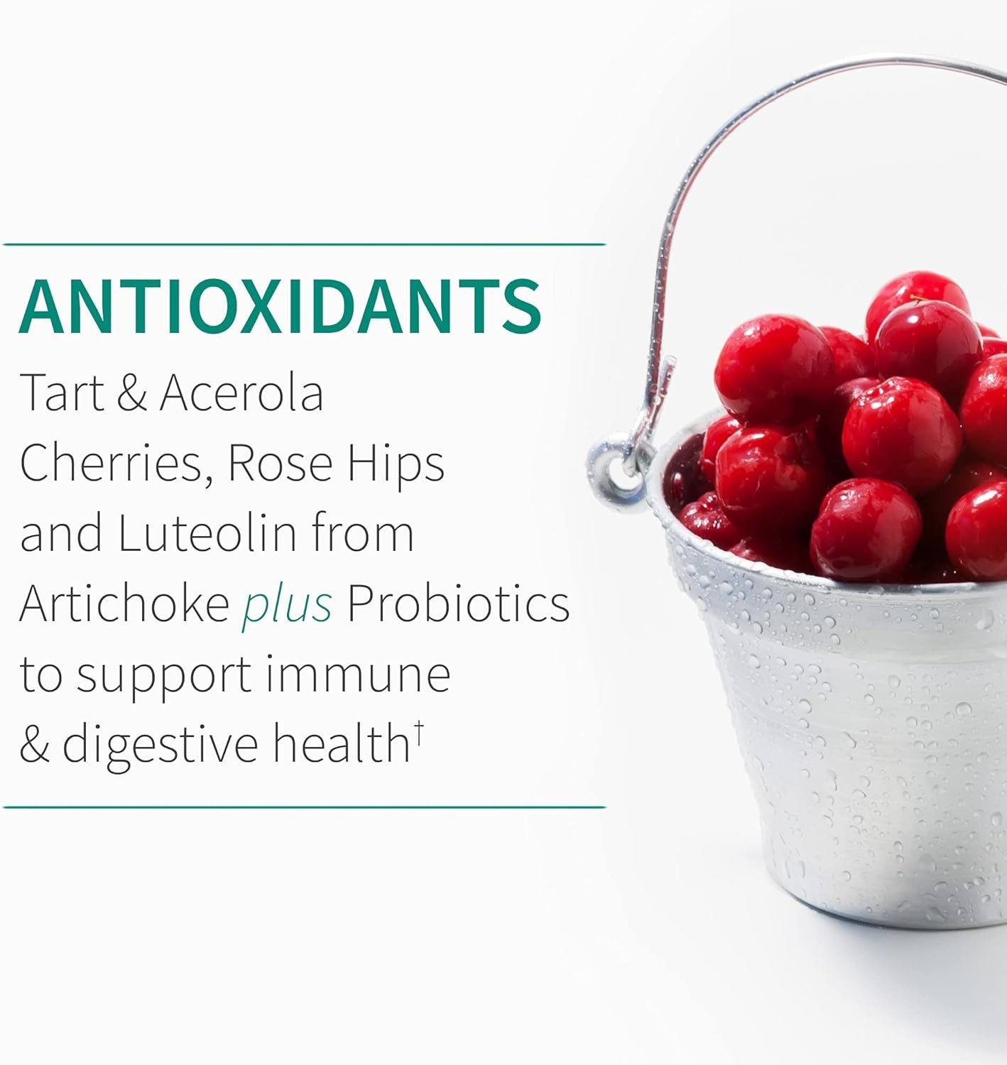 garden of life quercetin once daily immune system support supplement with vitamin c, d & probiotics – dr formulated – immune health, respiratory and skin health, gluten free, non gmo – 30 tablets garden of life quercetin once daily immune system support supplement with vitamin c, d & probiotics – dr formulated – immune health, respiratory and skin health, gluten free, non gmo – 30 tablets