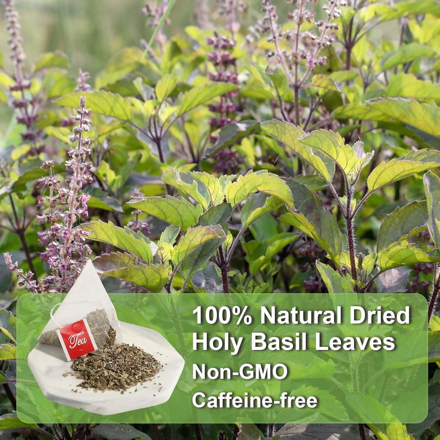fullchea holy basil tea bags, 40 tulsi teabags, 2g/bag premium holy basil leaves non gmo caffeine free support digestion & boost immunity fullchea holy basil tea bags, 40 tulsi teabags, 2g/bag premium holy basil leaves non gmo caffeine free support digestion & boost immunity