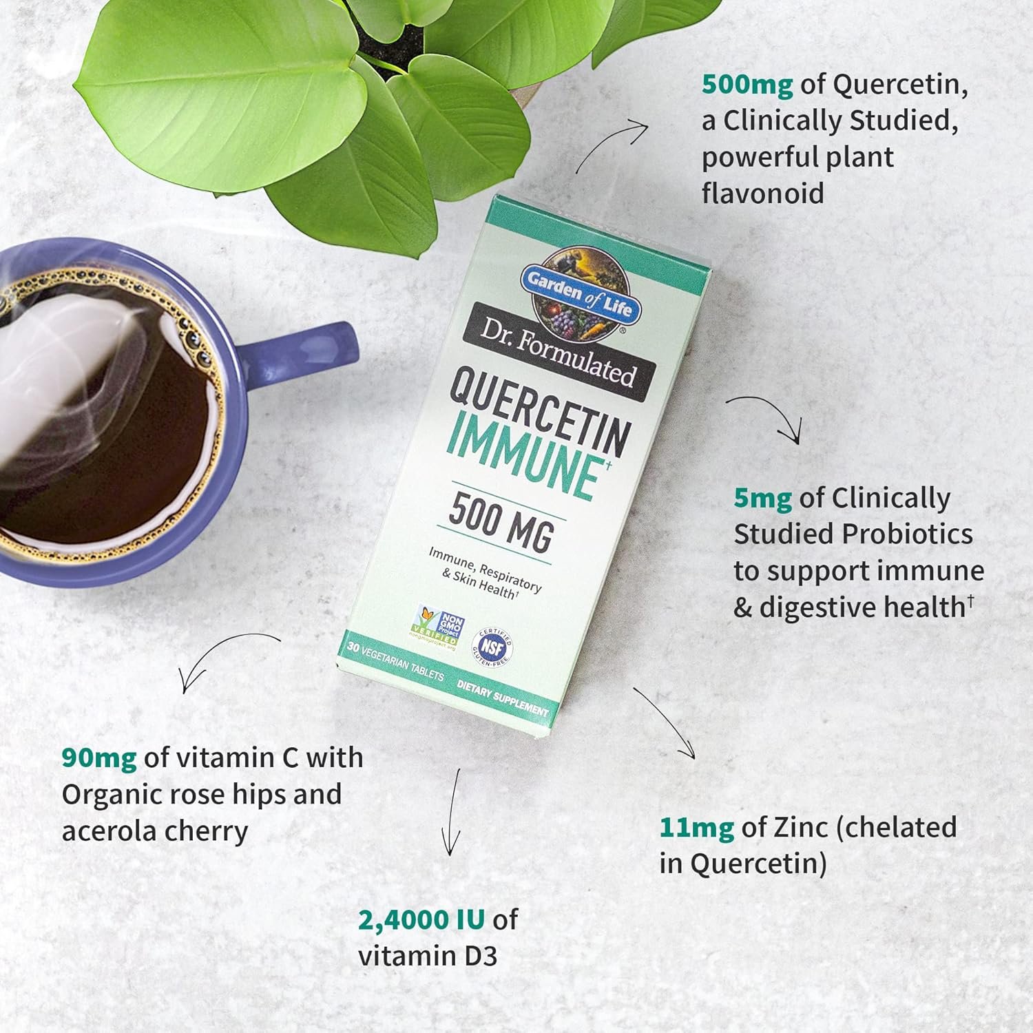 garden of life quercetin once daily immune system support supplement with vitamin c, d & probiotics – dr formulated – immune health, respiratory and skin health, gluten free, non gmo – 30 tablets garden of life quercetin once daily immune system support supplement with vitamin c, d & probiotics – dr formulated – immune health, respiratory and skin health, gluten free, non gmo – 30 tablets