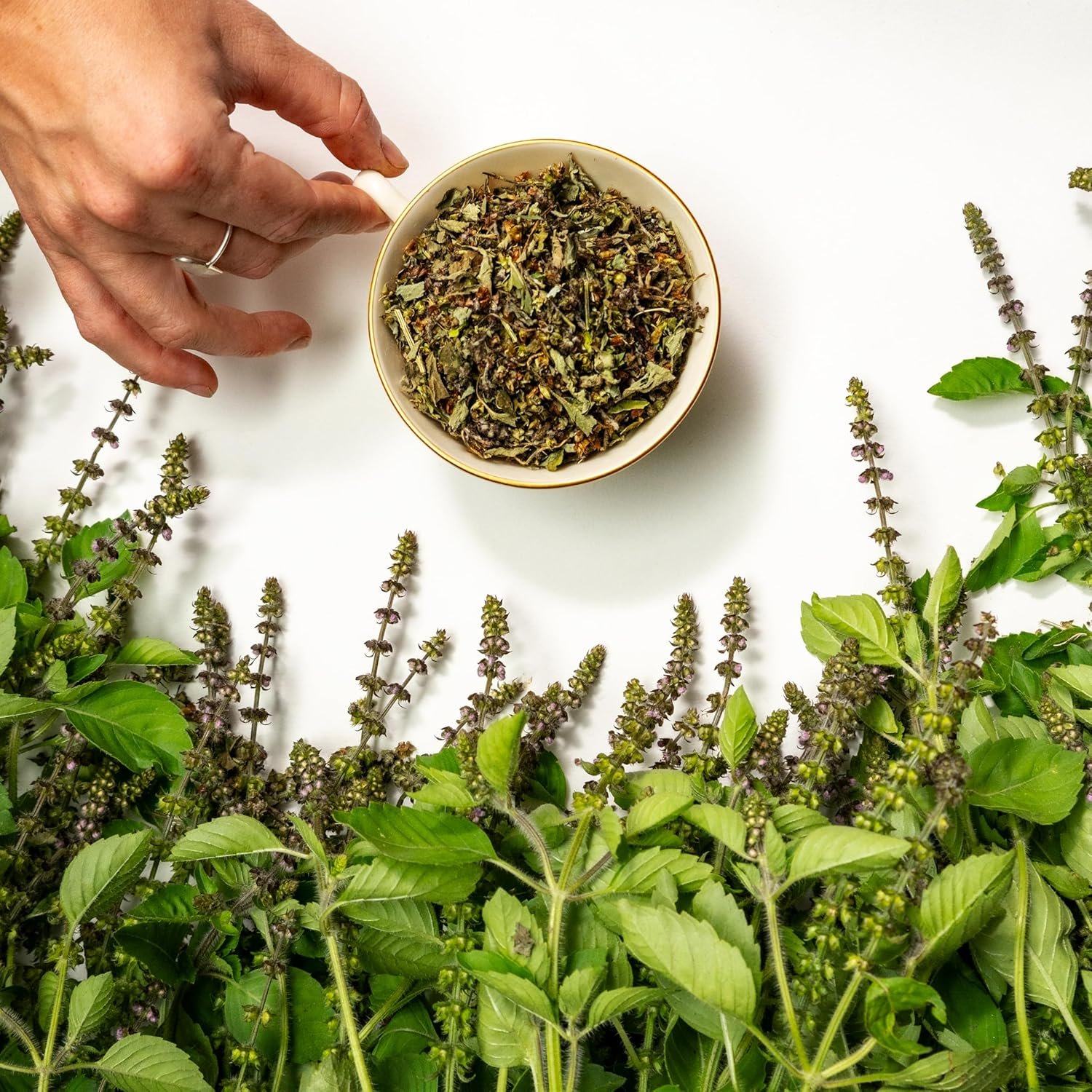 tulsi herbal tea (holy basil) | sacred blossom farm | 1.7 oz. loose leaf | ease stress renew enaergy* | minimally processed wisconsin grown medicinal herbs | caffeine free | handmade in usa tulsi herbal tea (holy basil) | sacred blossom farm | 1.7 oz. loose leaf | ease stress renew enaergy* | minimally processed wisconsin grown medicinal herbs | caffeine free | handmade in usa